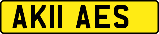 AK11AES