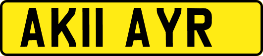 AK11AYR