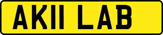 AK11LAB