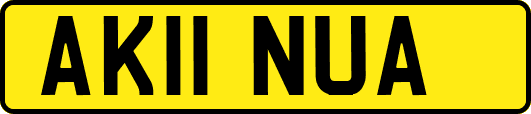 AK11NUA