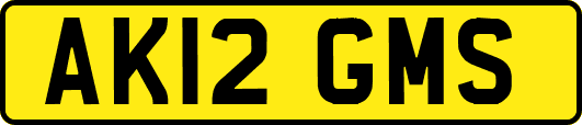 AK12GMS