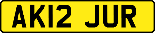 AK12JUR