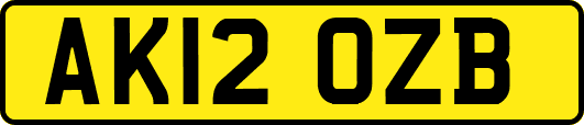 AK12OZB