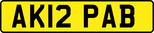 AK12PAB