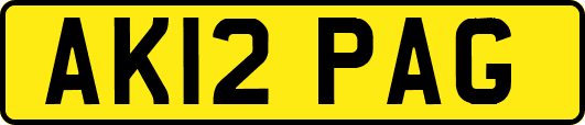 AK12PAG