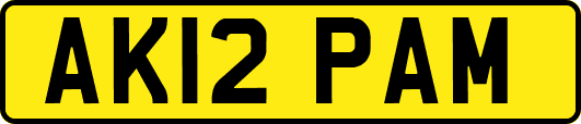 AK12PAM