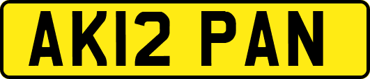 AK12PAN