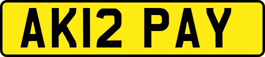 AK12PAY