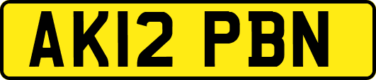 AK12PBN