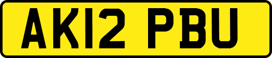 AK12PBU