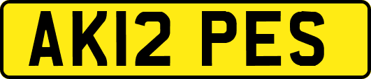 AK12PES