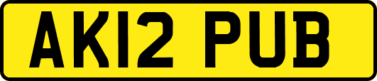 AK12PUB