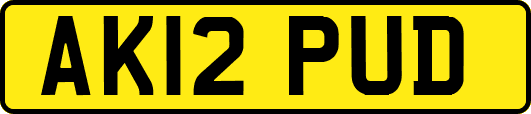 AK12PUD