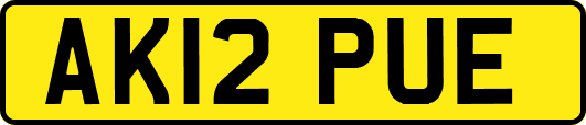 AK12PUE