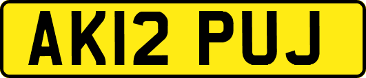 AK12PUJ