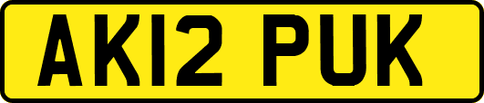 AK12PUK