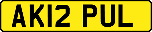 AK12PUL