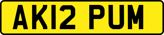 AK12PUM