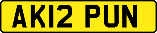 AK12PUN