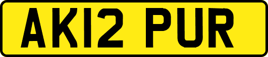 AK12PUR