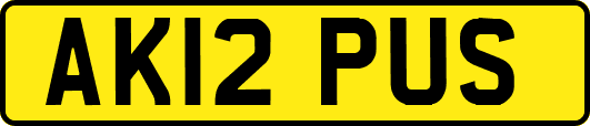 AK12PUS