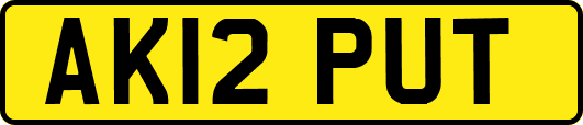 AK12PUT