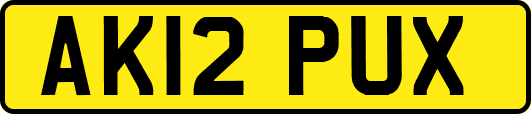 AK12PUX