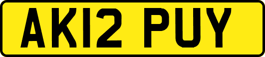 AK12PUY
