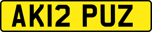 AK12PUZ