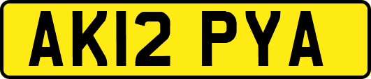 AK12PYA