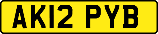 AK12PYB