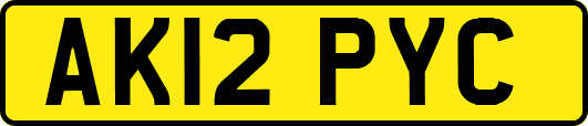 AK12PYC
