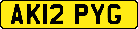 AK12PYG