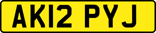 AK12PYJ