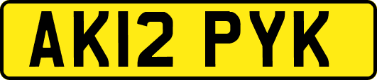 AK12PYK