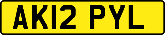AK12PYL