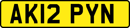 AK12PYN