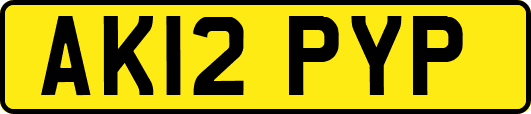AK12PYP