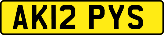 AK12PYS