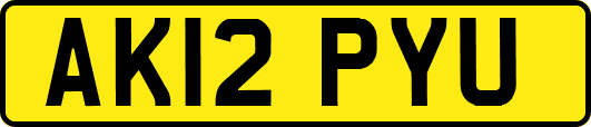 AK12PYU