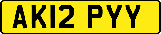 AK12PYY