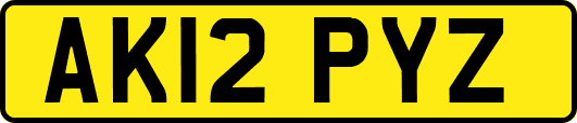AK12PYZ