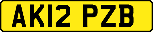 AK12PZB