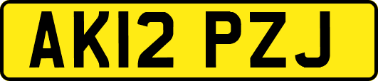 AK12PZJ