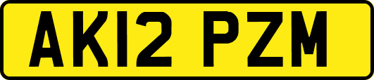 AK12PZM