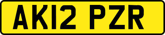 AK12PZR