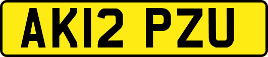 AK12PZU