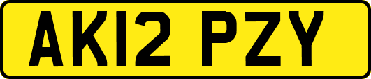 AK12PZY