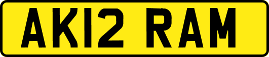 AK12RAM