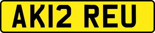 AK12REU